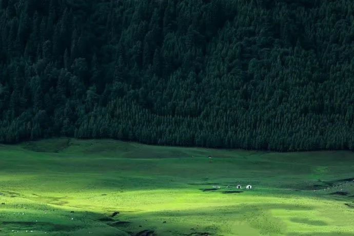 一个人就能做的搞钱方法(建议收藏)-偏门行业网 一个人就能做的搞钱方法(建议收藏)-偏门行业网