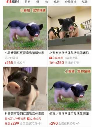 冷门赛道日入600米,零技术含量!-偏门行业网 冷门赛道日入600米,零技术含量!-偏门行业网