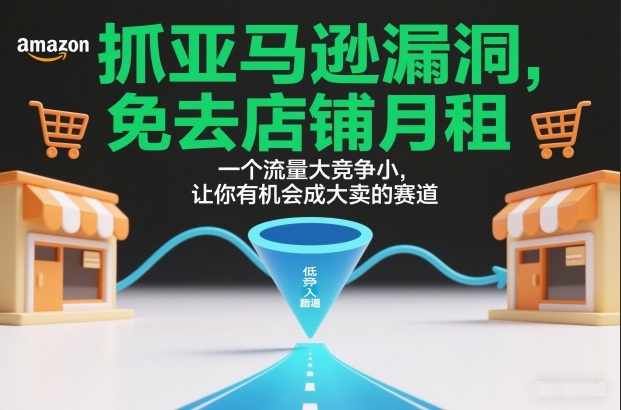 抓亚马逊漏洞,免去店铺月租,一个流量大竞争小,让你有机会成大卖的赛道网赚项目-副业赚钱-互联网创业-资源整合歪妹网赚
