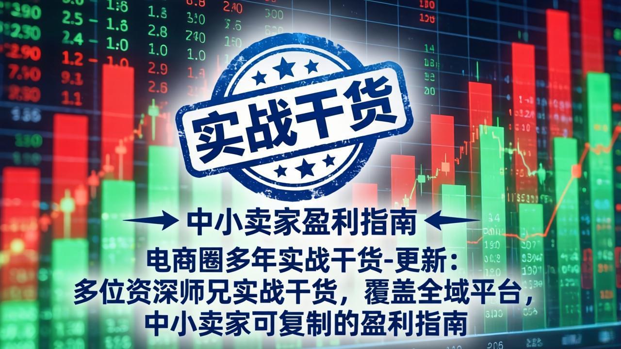 电商圈多年实战干货-更新4月：多位资深师兄实战干货，覆盖全域平台，中小卖家可复制的盈利指南网赚项目-副业赚钱-互联网创业-资源整合西狂乐