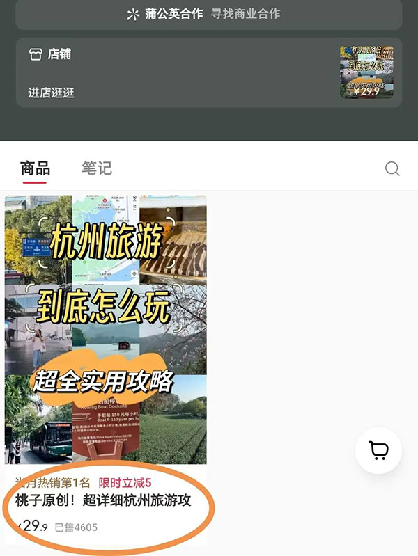 小红书虚拟资料项目：19.9一单，已经变现了超50万-偏门行业网