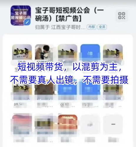 宝子哥头部团队短视频带货，以混剪为主，不需要真人出镜，不需要拍摄【更新12月】|一站式知识服务平台|多样资源|热门项目|详尽教程|学习交流|成功之门|HY资源库