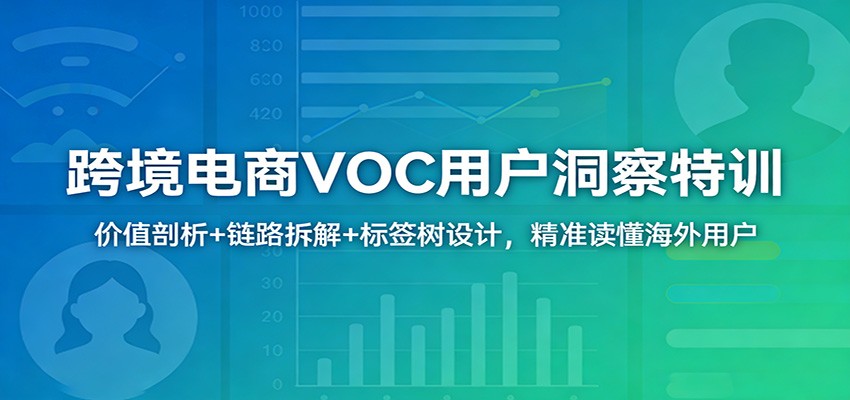 跨境电商VOC用户洞察特训：价值剖析+链路拆解+标签树设计，精准读懂海外用户网赚项目-副业赚钱-互联网创业-资源整合老八网赚