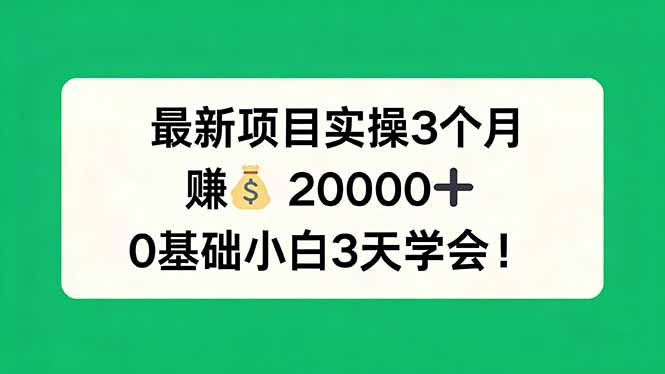 最新项目实操3个月，赚钱20000+，0基础小白3天学会！网赚项目-副业赚钱-互联网创业-资源整合老八网赚